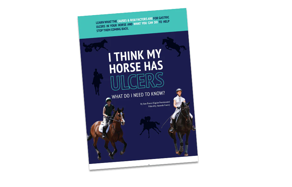 I think my horse has ulcers Poseidon Animal Health NZ