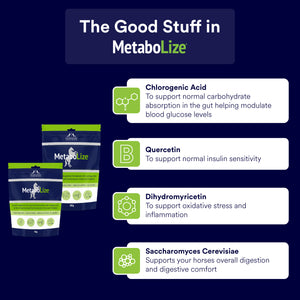 MetaboLize®