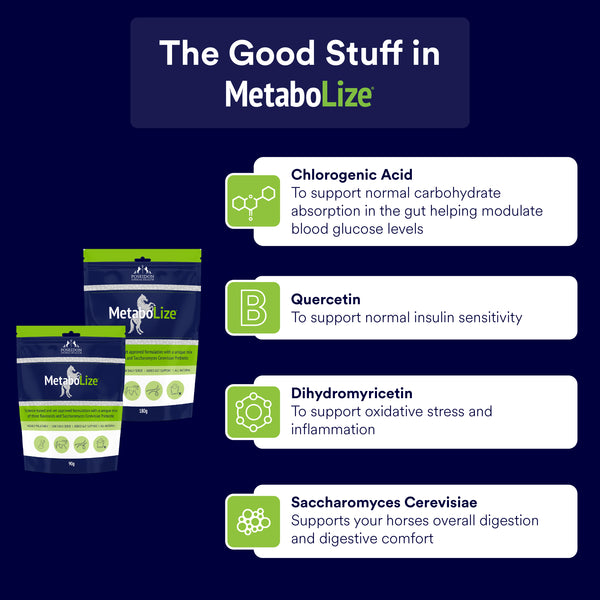 MetaboLize®