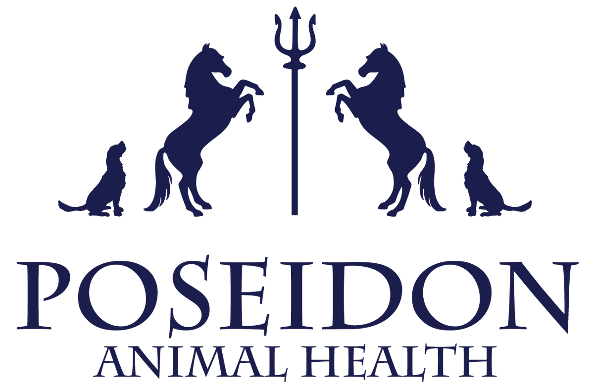 Reviews of Poseidon Equine Supplements. Digestive Health for Horses NZ