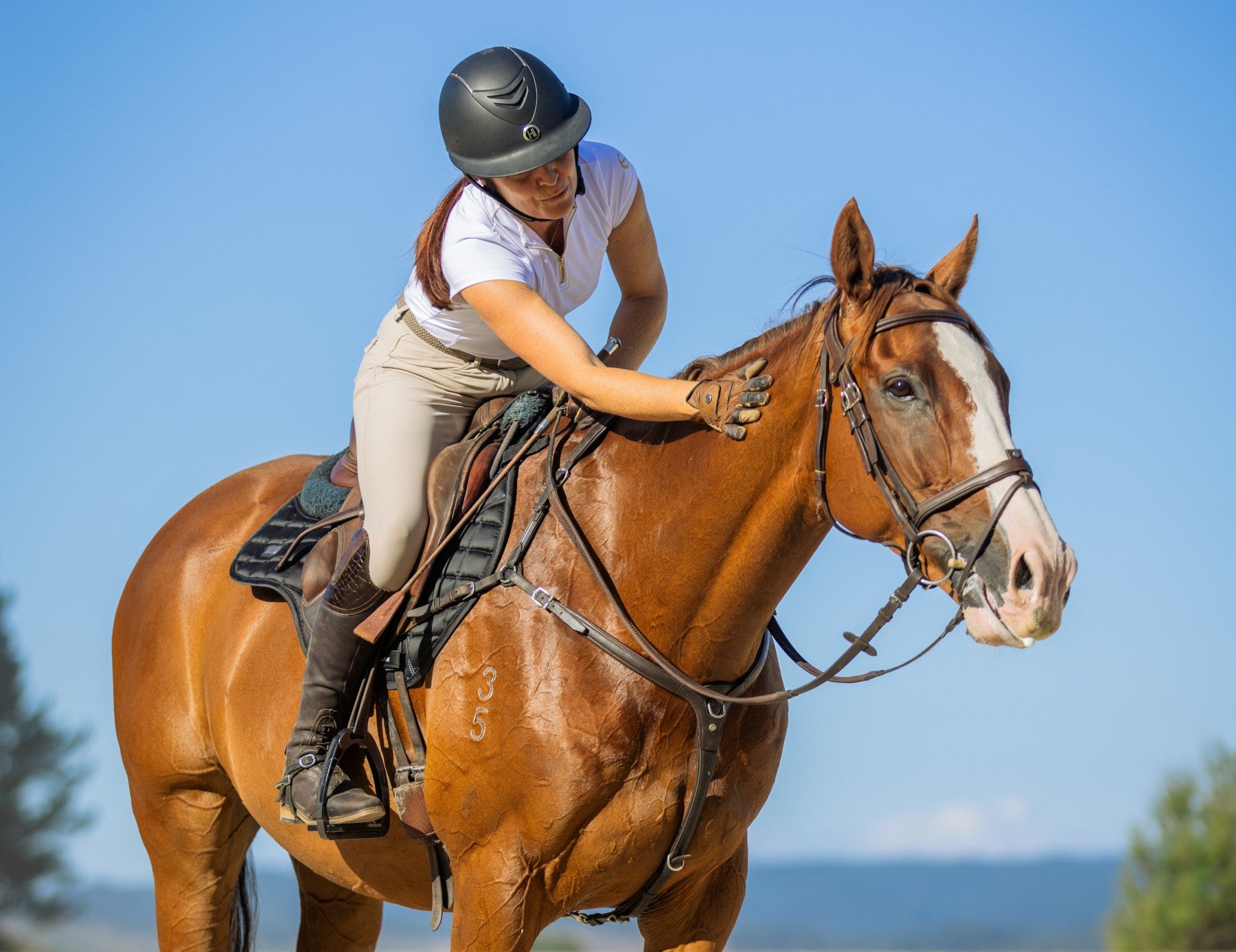 Which digestive and gut health supplement is best for my horse?