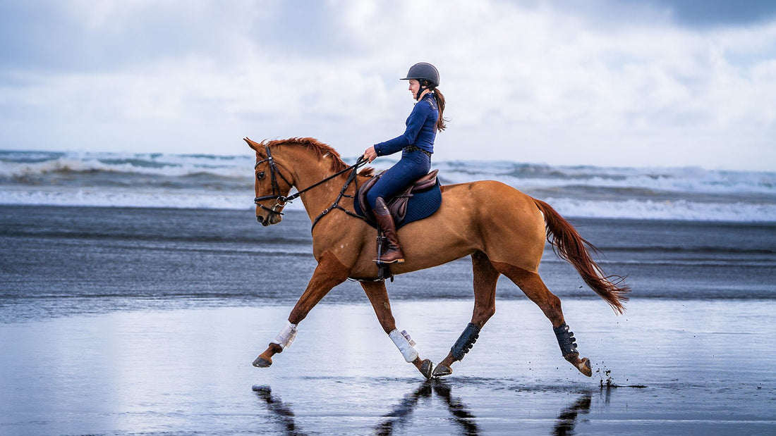 Why I am investing in my horses' gut health - Poseidon Animal Health NZ
