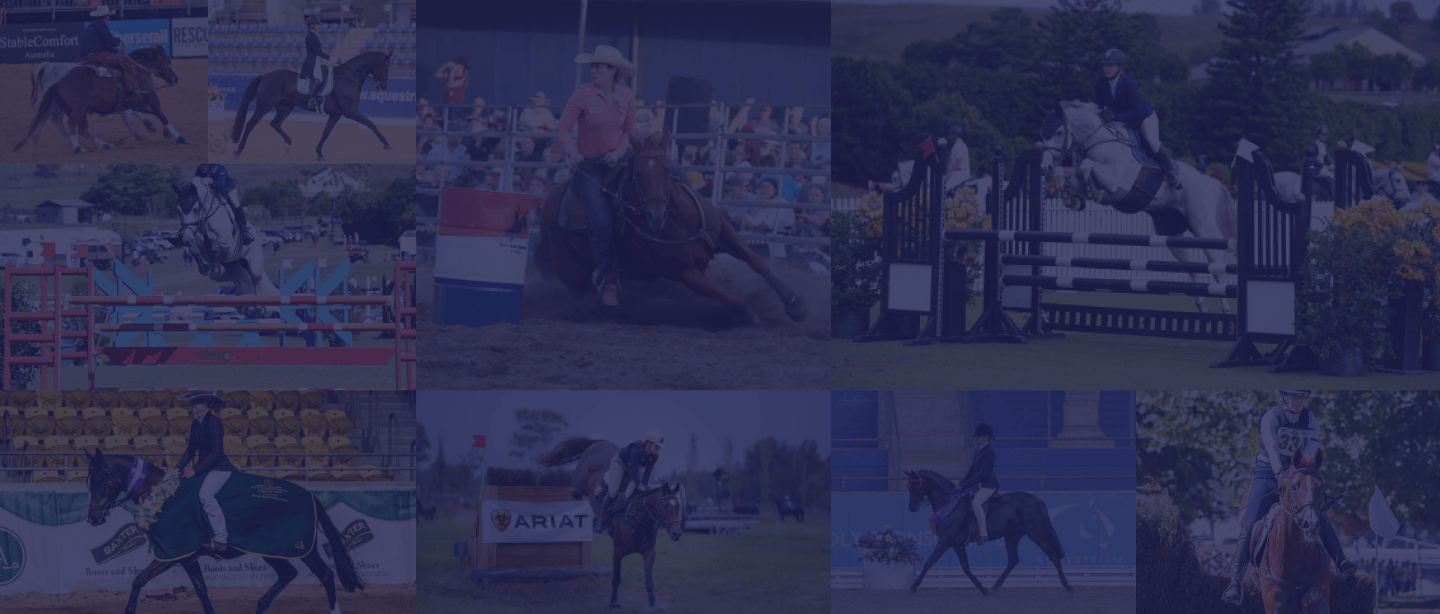 Managing Your Horse's Gut Health with Leading New Zealand Equine Nutritionist - Nikita Stowers - Poseidon Animal Health NZ