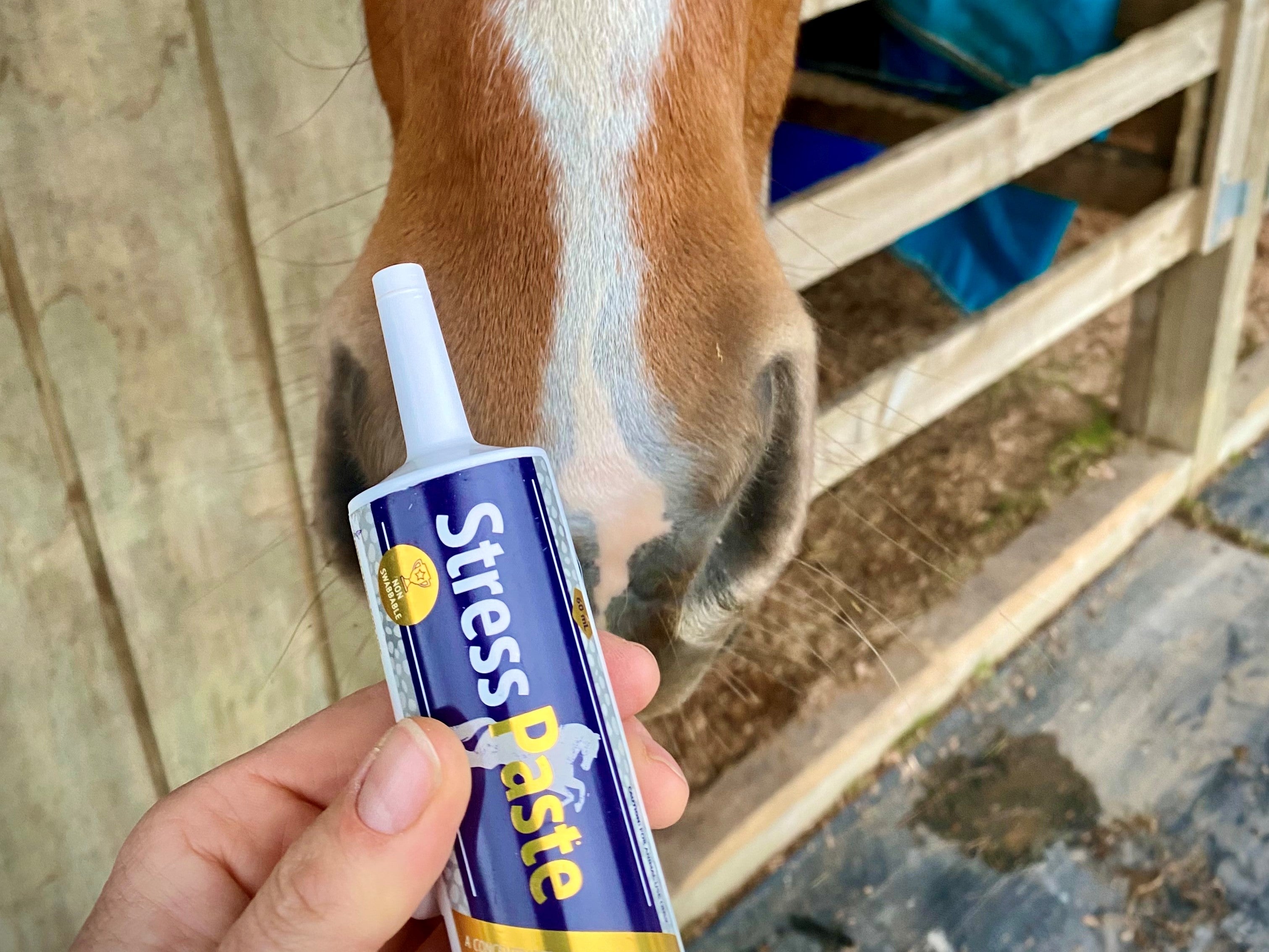 Why Stress Paste? Here are 8 great reasons!