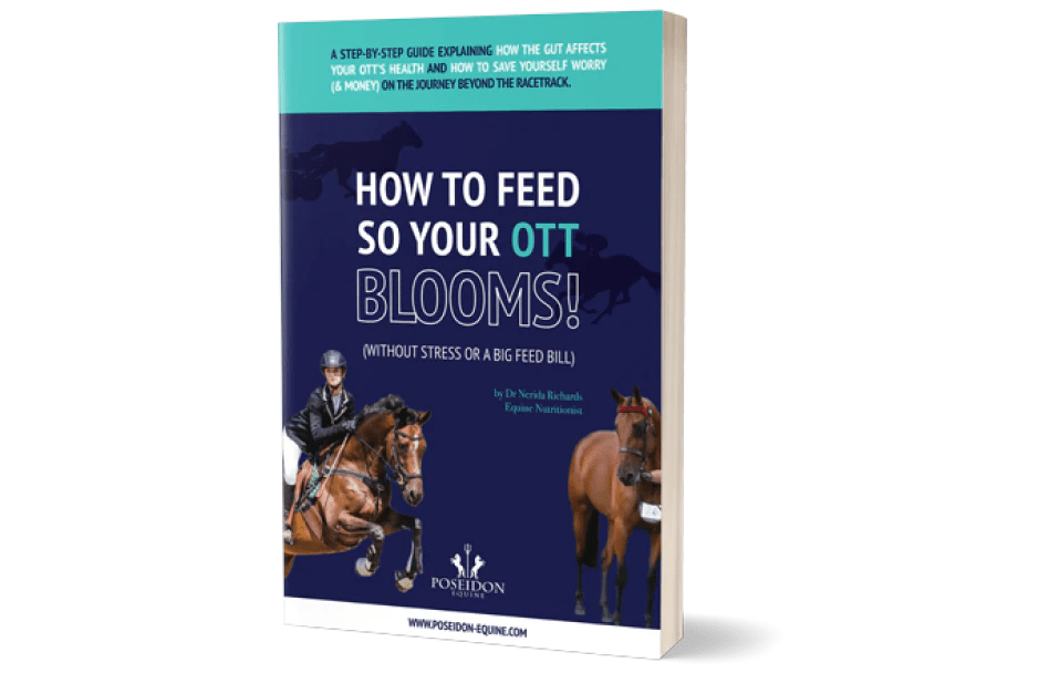 How to feed so your OTTB blooms - without stress and a huge feed bill! - Poseidon Animal Health NZ