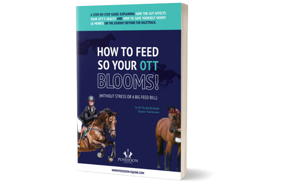 How to feed so your OTTB blooms - without stress and a huge feed bill!
