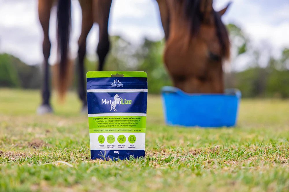 Act early to avoid your horse getting laminitis this Spring - Poseidon Animal Health NZ