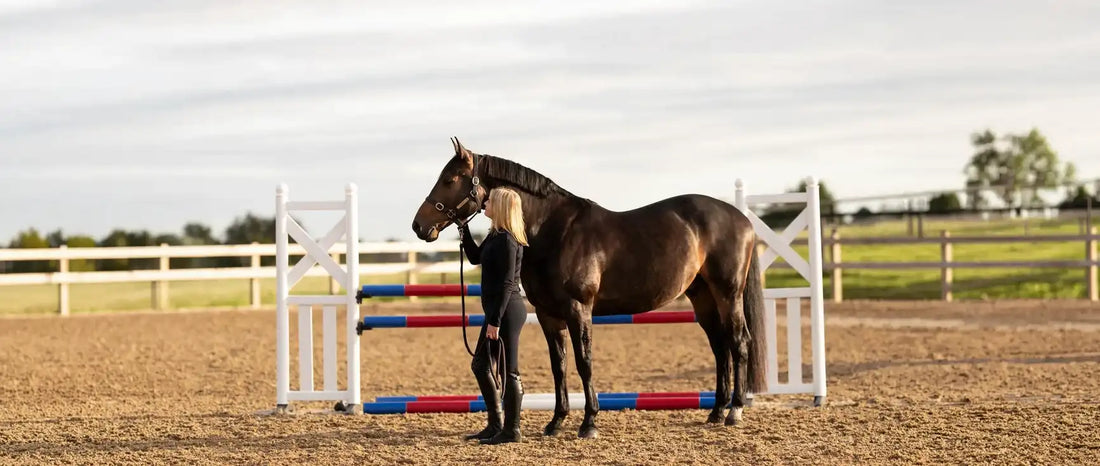 Travel, Competition and Colic: Reducing Digestive Disruption on the Road