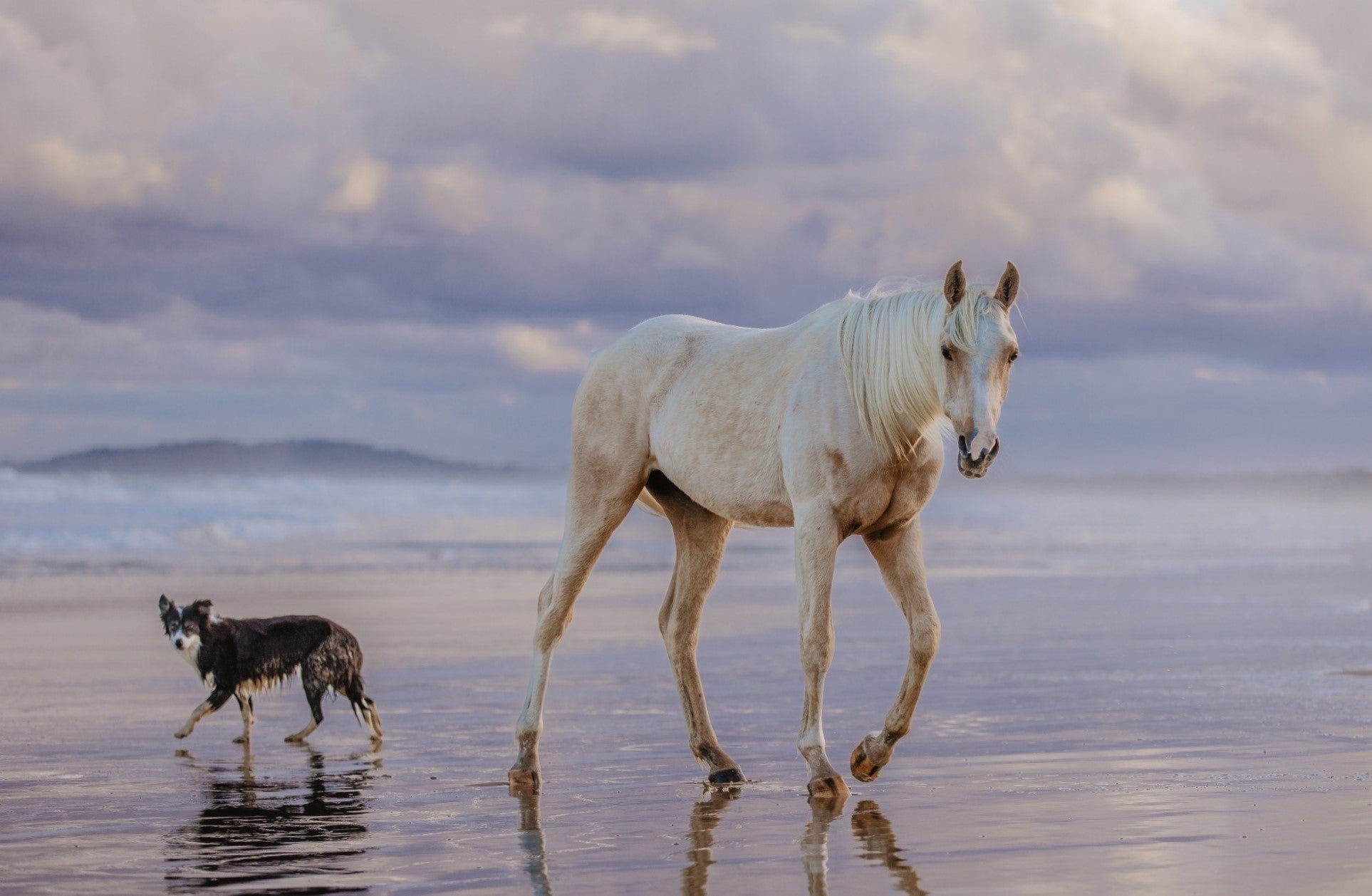 3 Things You'll Wish You'd Learned in Vet School