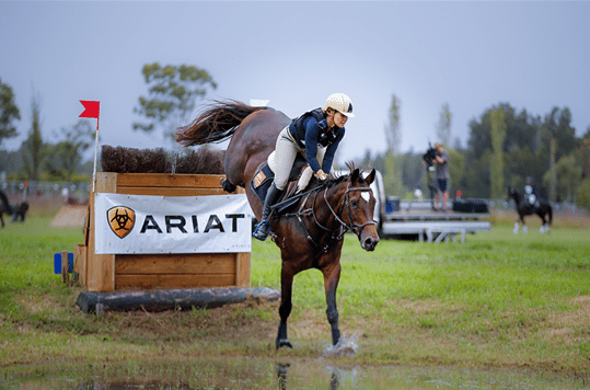Psychological Stress in Horses - Poseidon Animal Health NZ