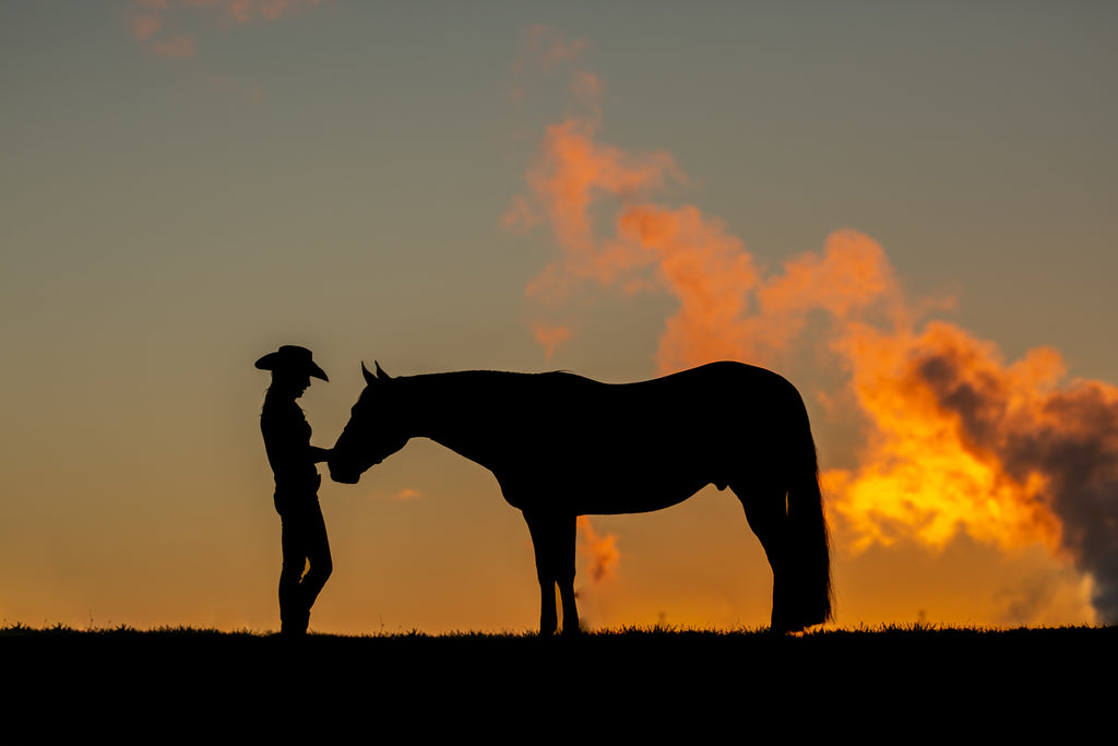 Prebiotics and post biotics for horses - What's the deal?