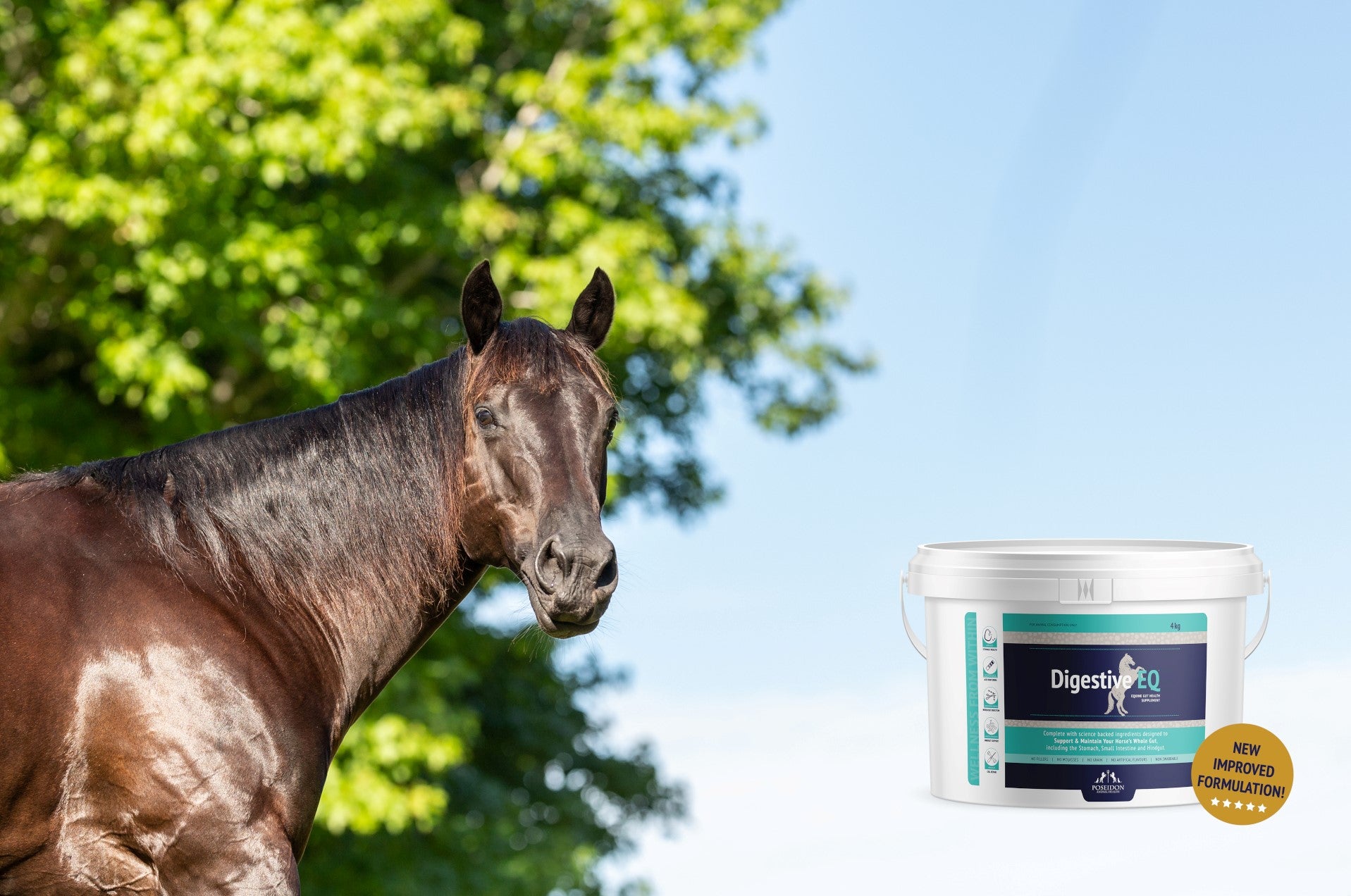Introducing the New Digestive EQ formulation