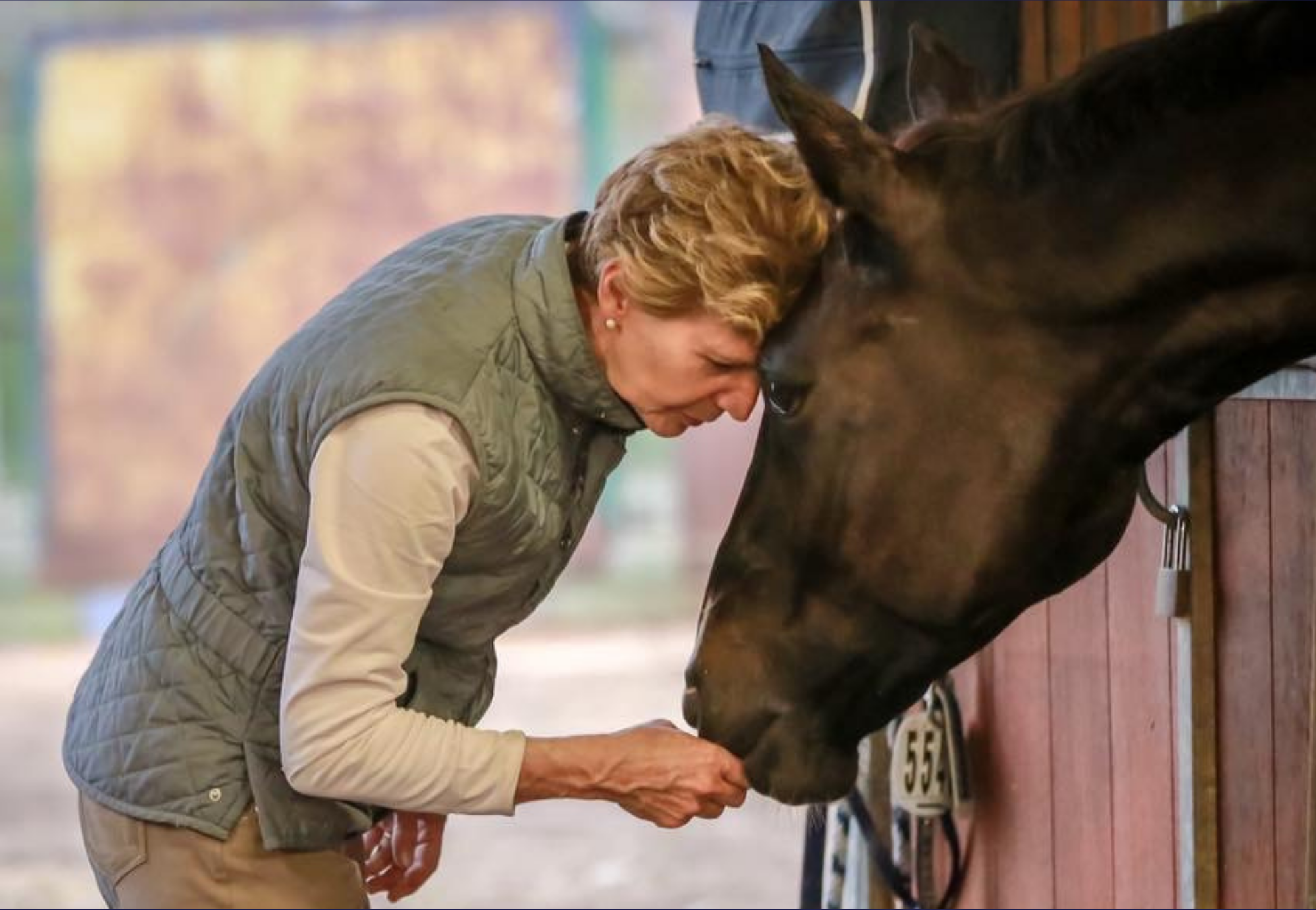 Wives’ Tales or Wisdom: What can we learn from pre-internet horse management?