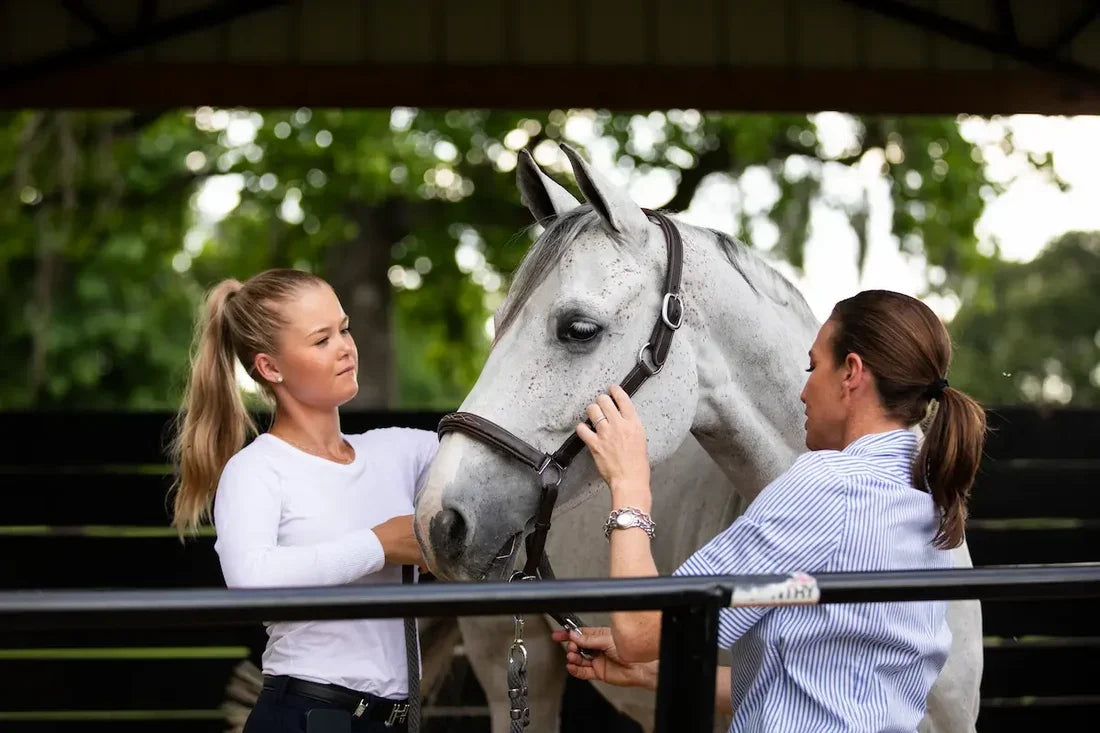 Horse Colic - What to Do While You Wait for the Vet