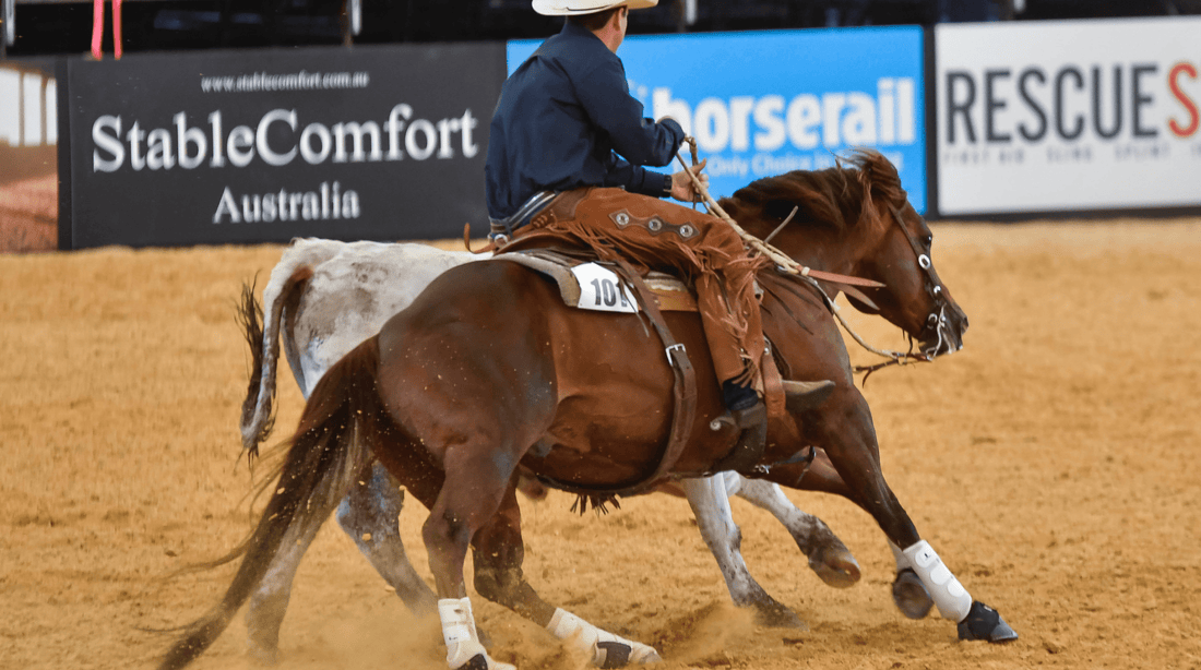 Is the Way We Feed Making our Horses Gut Sick? - Poseidon Animal Health NZ