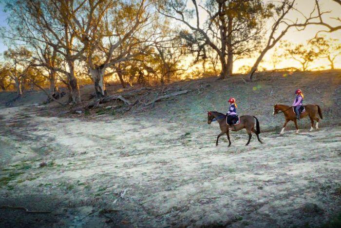 How to Feed Your Horse in a Drought or after Flooding