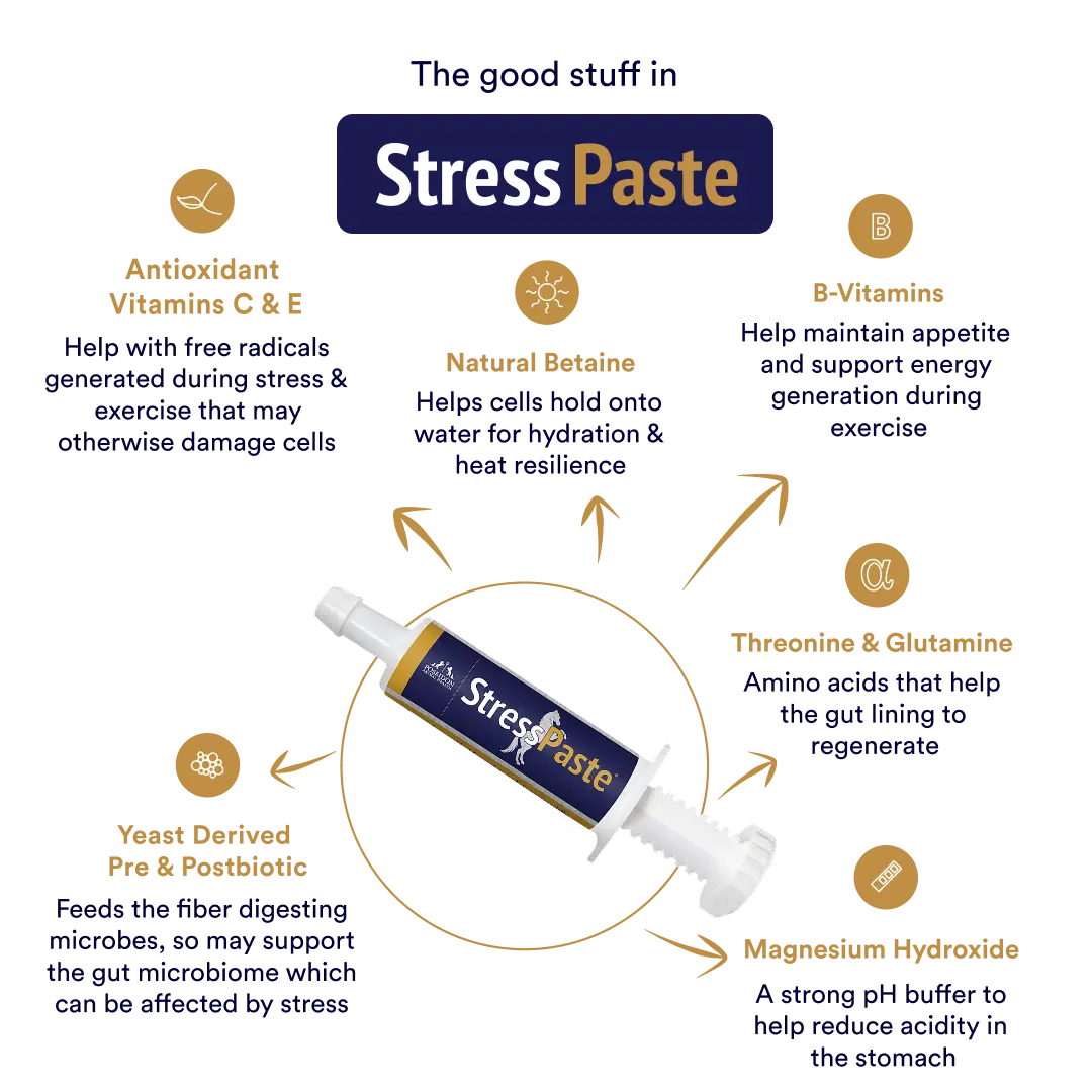 StressPaste Bundle