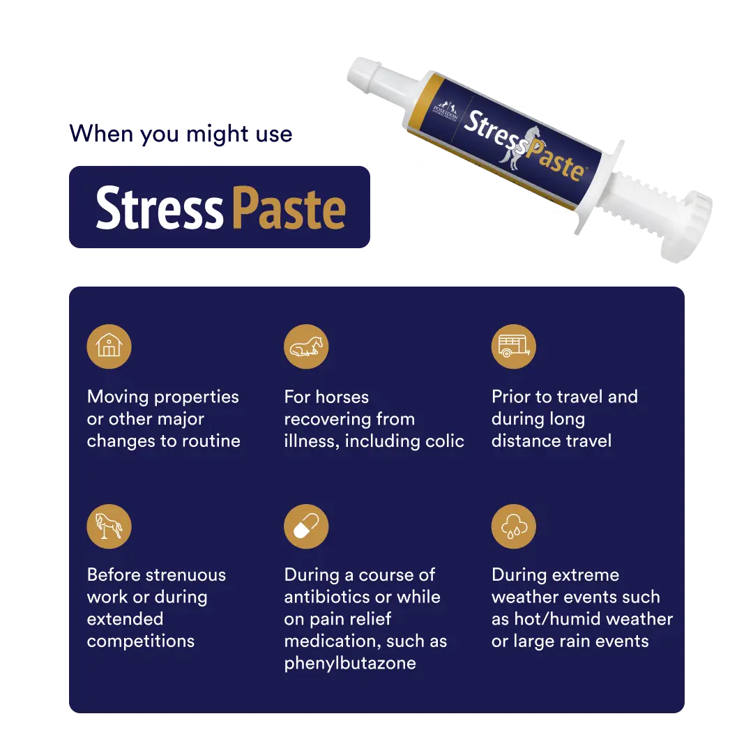 StressPaste Bundle