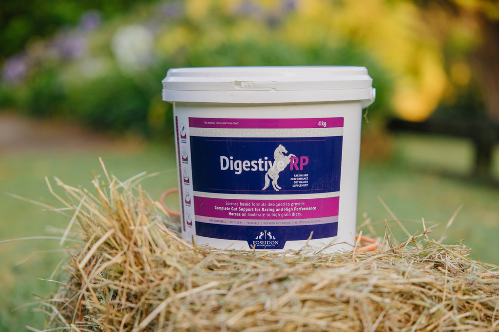 Horse Digestive Supplements for better Gut Health in Horses. NZ Made