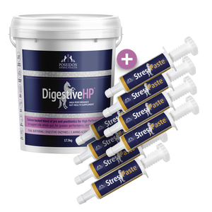 Ulcer Support Bundle