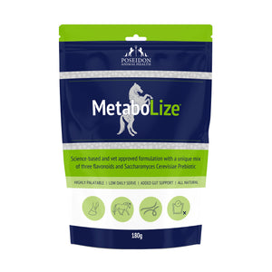 Metabolic Care Pack - Performance Horse