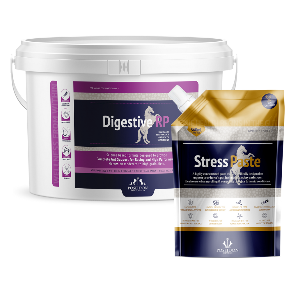 Reviews of Poseidon Equine Supplements. Digestive Health for Horses NZ