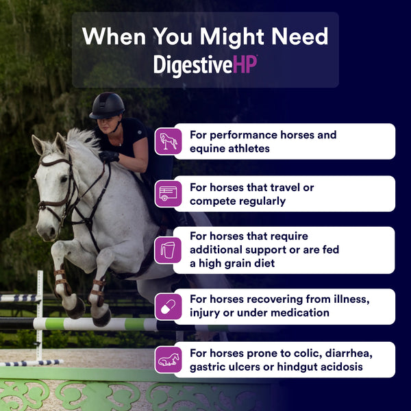 Digestive HP