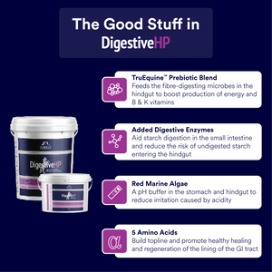 Digestive HP