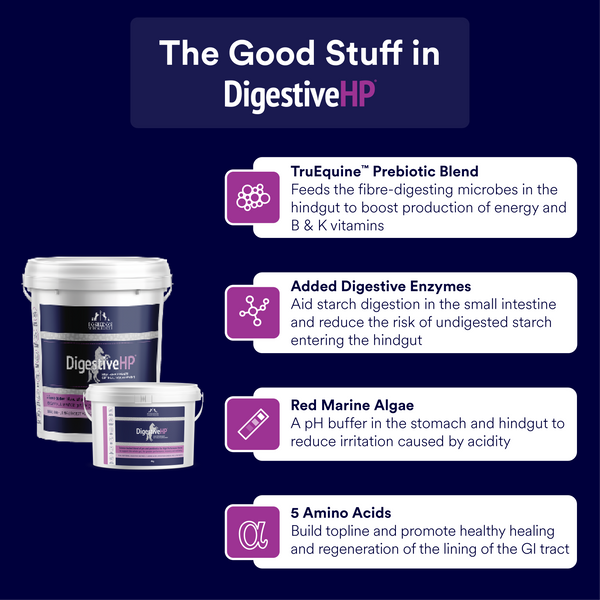 Digestive HP