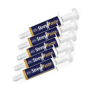 Gut Health Reset Pack