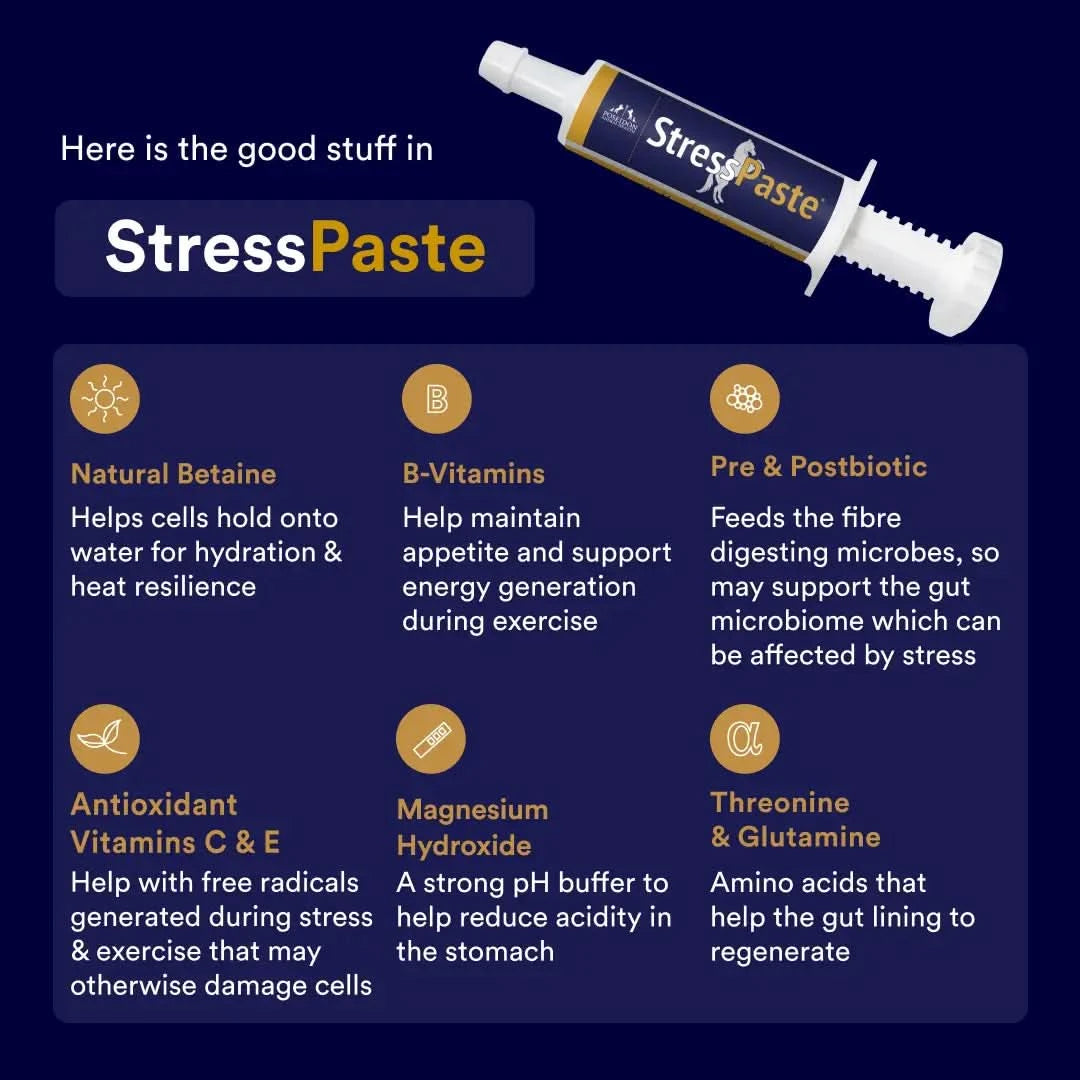 Gut Health Reset Pack