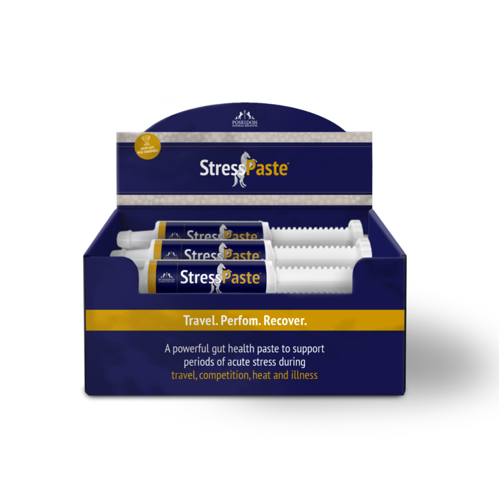Stress Paste 12 Pack (Wholesale)